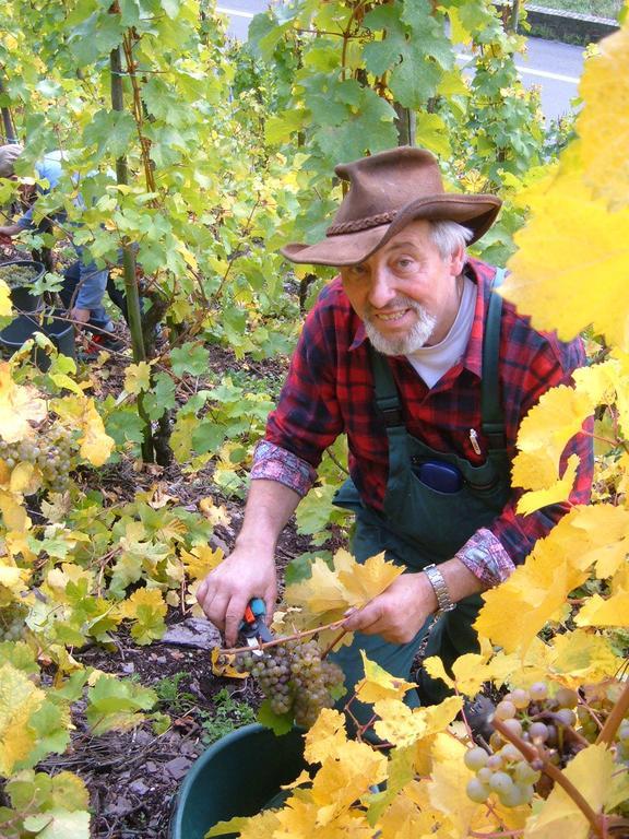 Вилла Kleines Winzerhauschen Бремм Номер фото