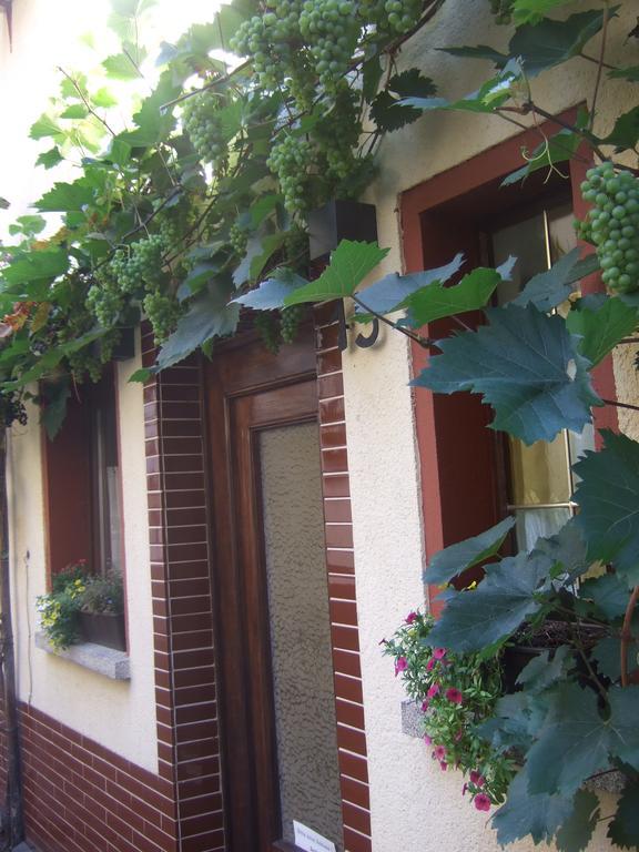 Вилла Kleines Winzerhauschen Бремм Экстерьер фото