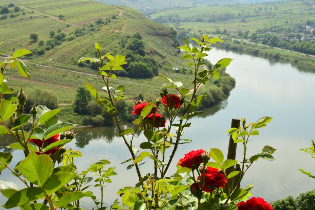 Вилла Kleines Winzerhauschen Бремм Экстерьер фото